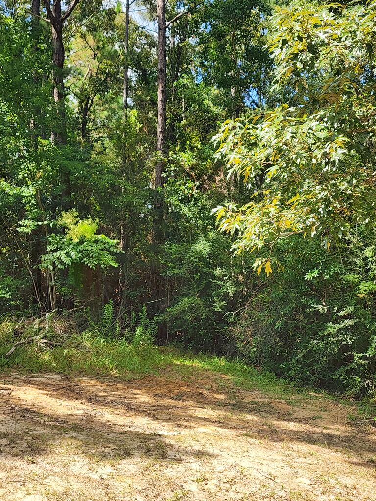 Tbd McGregor Road Vancleave, MS 39565 - Photo 1 of 1 Gallery Image 1