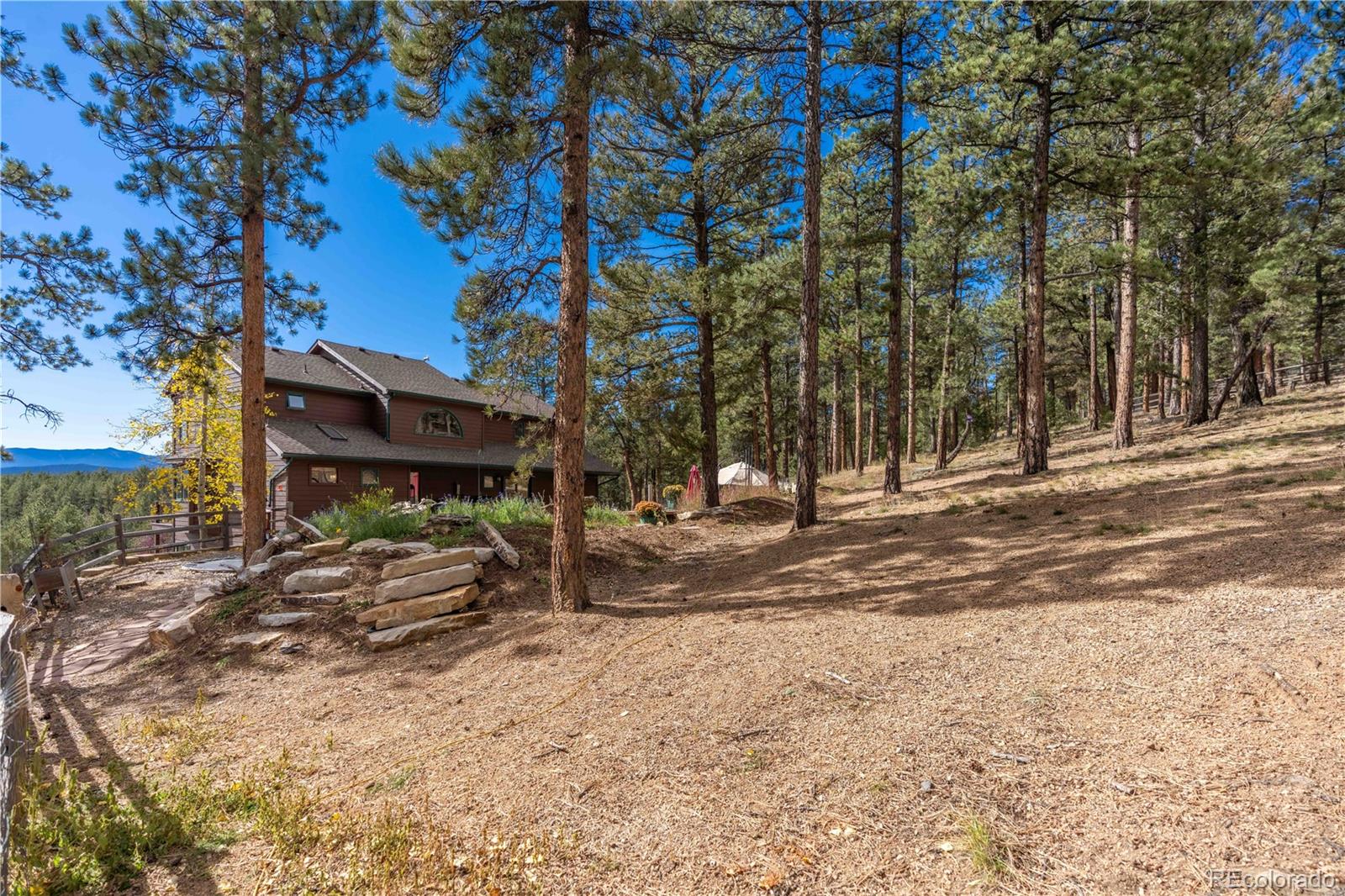 318 Rd D Pine, CO 80470 - Photo 2 of 50 a view of a backyard with large trees