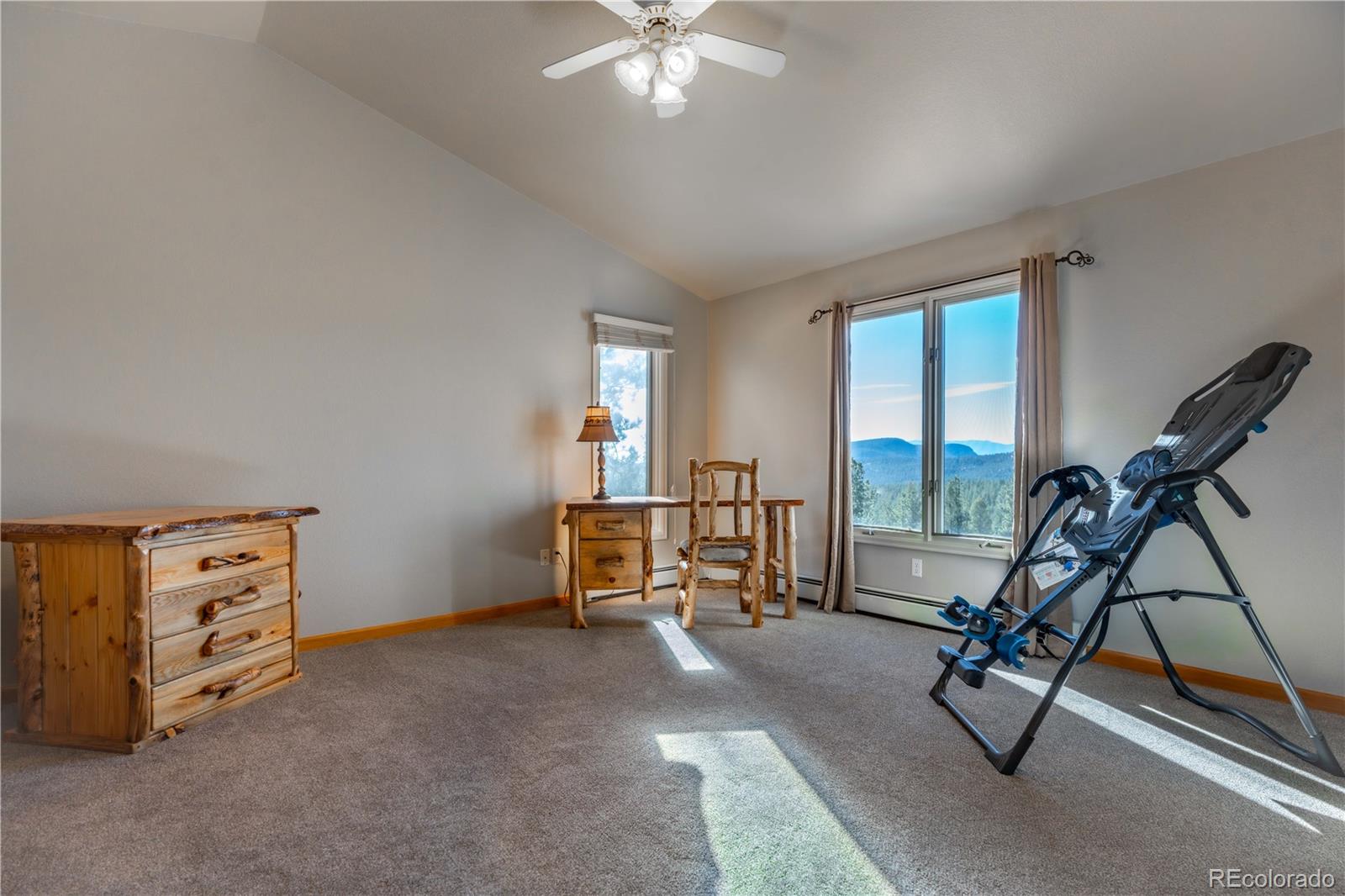 318 Rd D Pine, CO 80470 - Photo 24 of 50 a view of a room with gym equipment