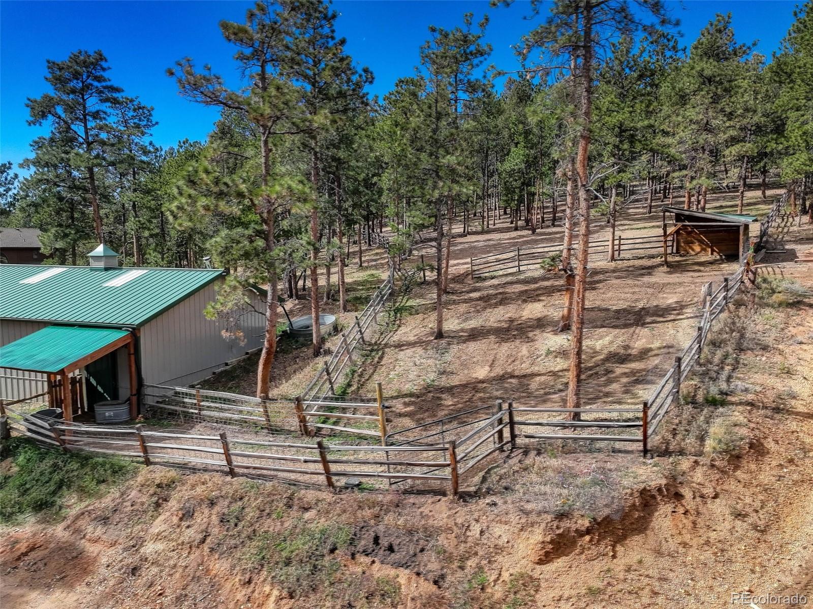 318 Rd D Pine, CO 80470 - Photo 42 of 50 a backyard of a house with lots of green space