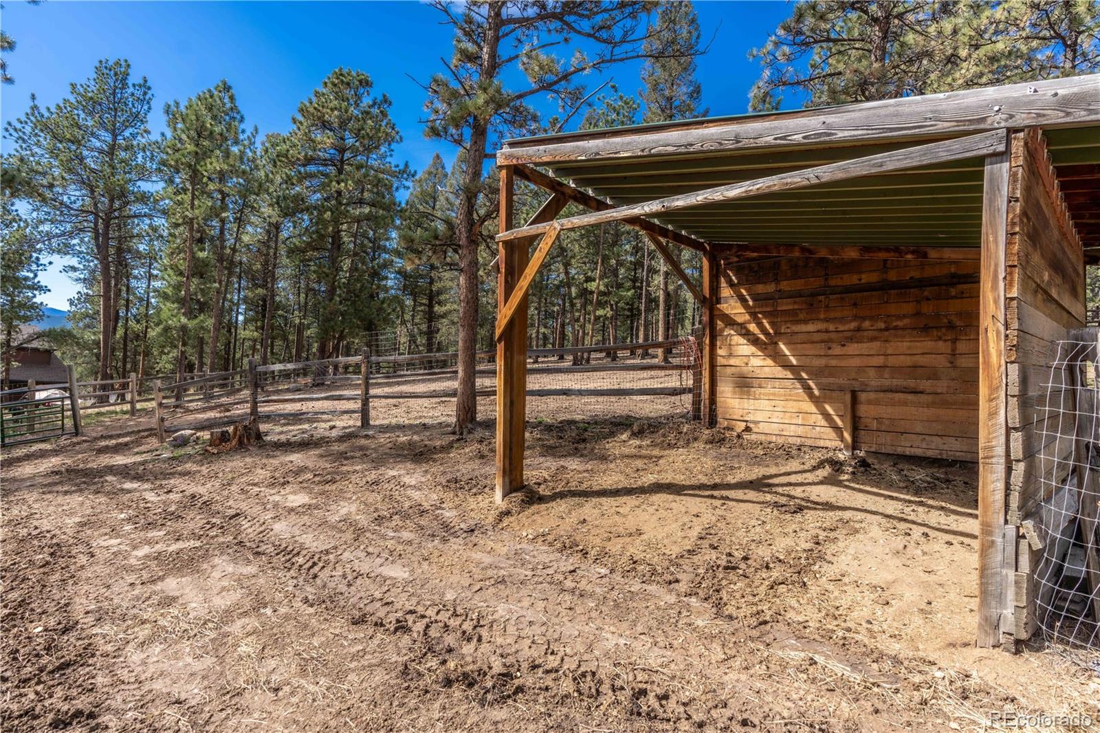 318 Rd D Pine, CO 80470 - Photo 43 of 50