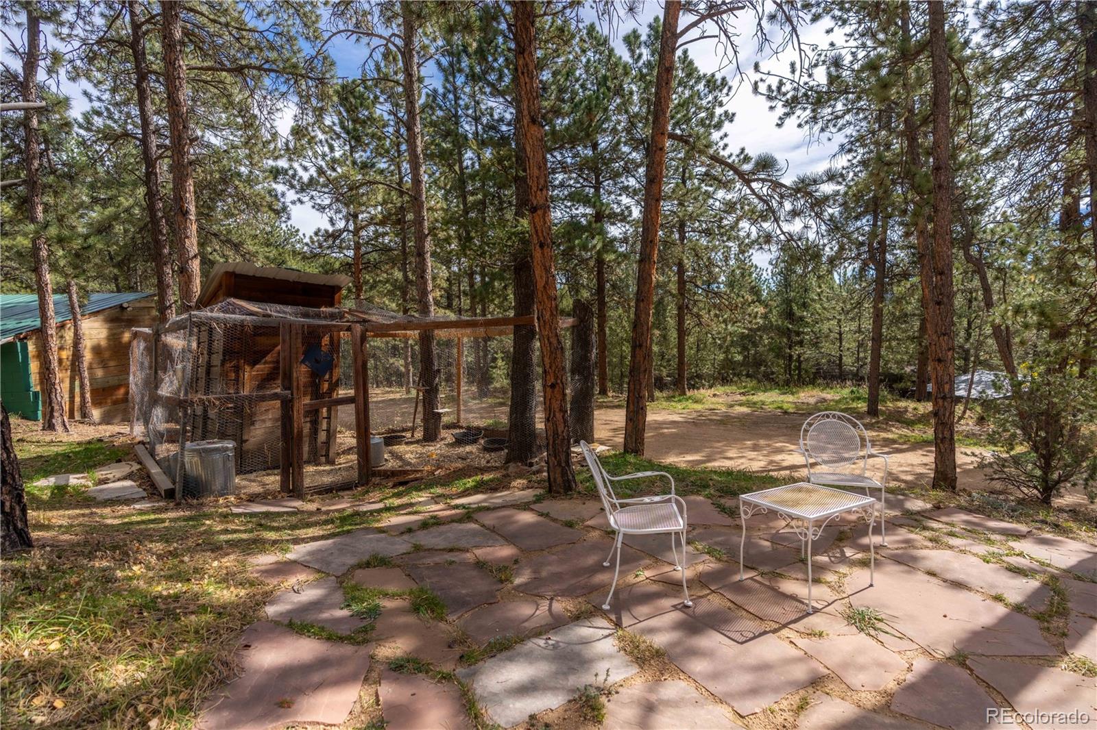 318 Rd D Pine, CO 80470 - Photo 45 of 50 a view of a barn with a tree in the yard