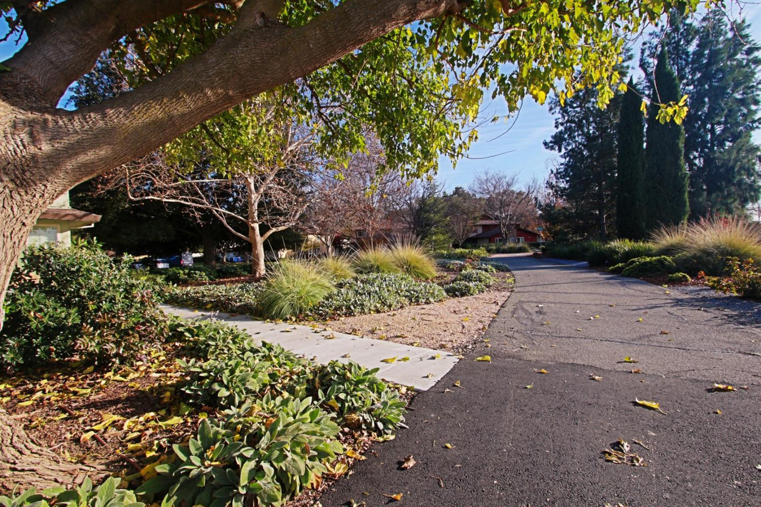 2900 Pole Line Road, Unit 2 Davis, CA 95618 - Photo 34 of 34 a view of a garden with plants