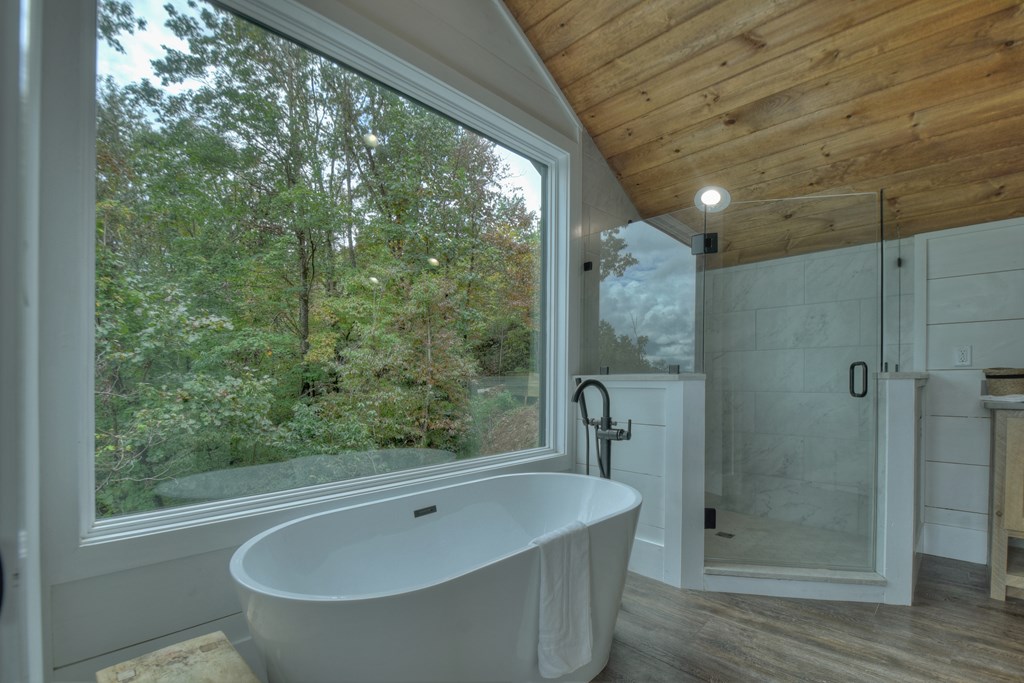 316 Blue Sky Drive Blue Ridge, GA 30513 - Photo 30 of 78 Gallery Image 30