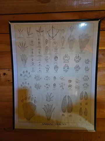 $339,000 | 0 Canton Mountain Road, Canton, ME 04221