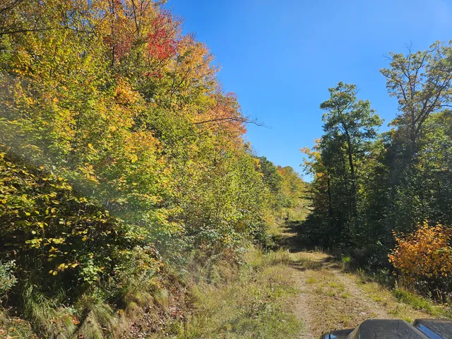 $339,000 | 0 Canton Mountain Road, Canton, ME 04221