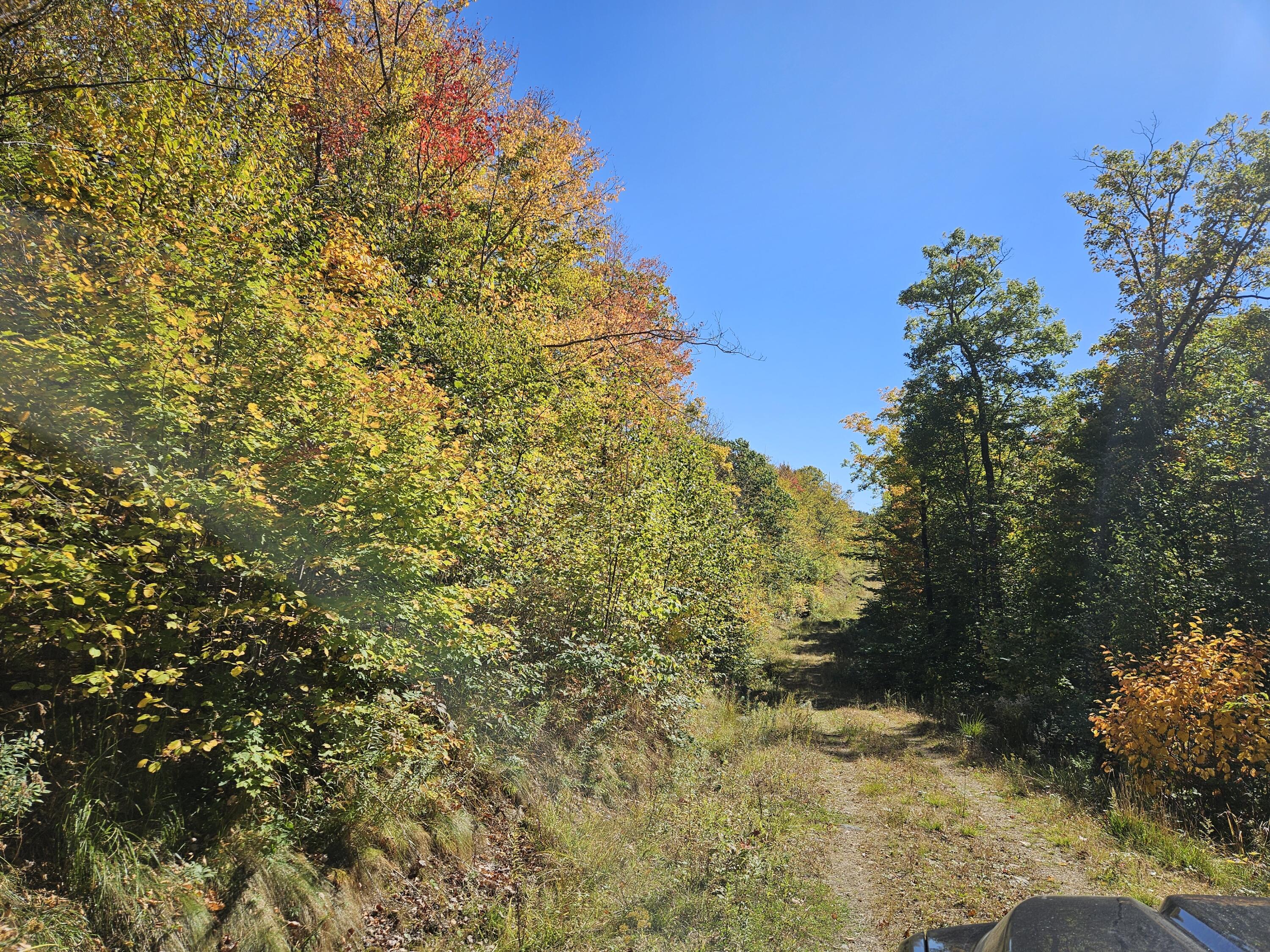 0 Canton Mountain Road Canton, ME 04221 - Photo 45 of 79 The Canton Camp