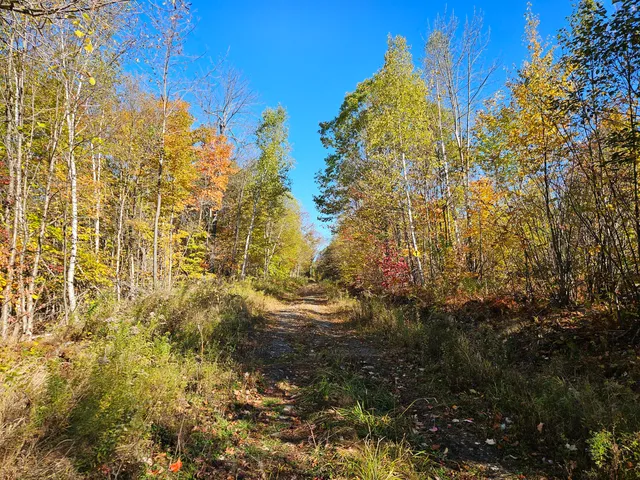 $339,000 | 0 Canton Mountain Road, Canton, ME 04221