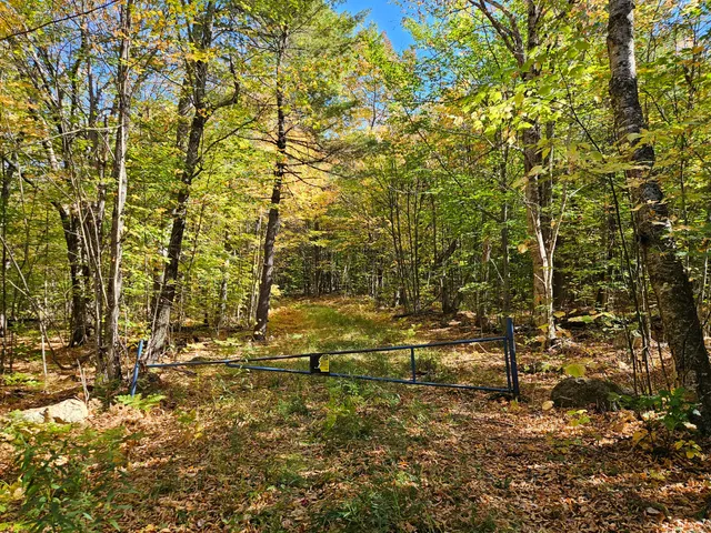 $339,000 | 0 Canton Mountain Road, Canton, ME 04221