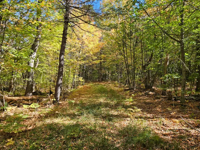 $339,000 | 0 Canton Mountain Road, Canton, ME 04221