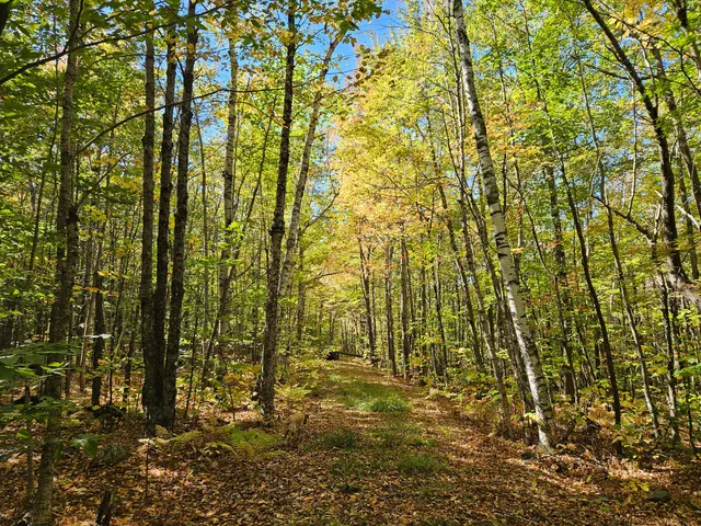 $339,000 | 0 Canton Mountain Road, Canton, ME 04221