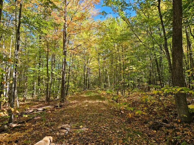 $339,000 | 0 Canton Mountain Road, Canton, ME 04221