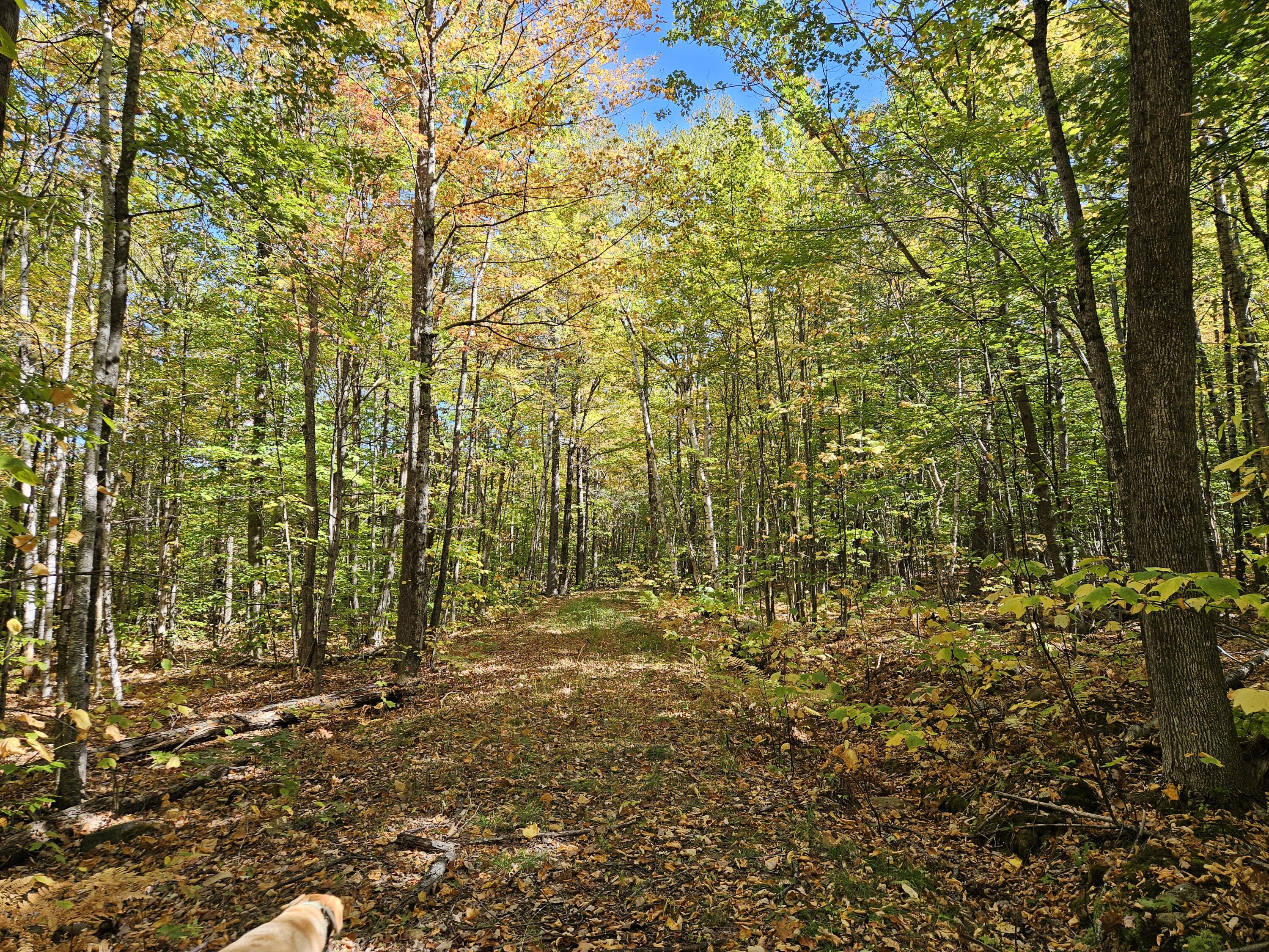 0 Canton Mountain Road Canton, ME 04221 - Photo 53 of 79 The Canton Camp
