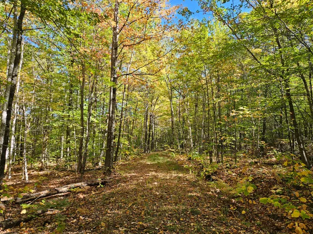 $339,000 | 0 Canton Mountain Road, Canton, ME 04221