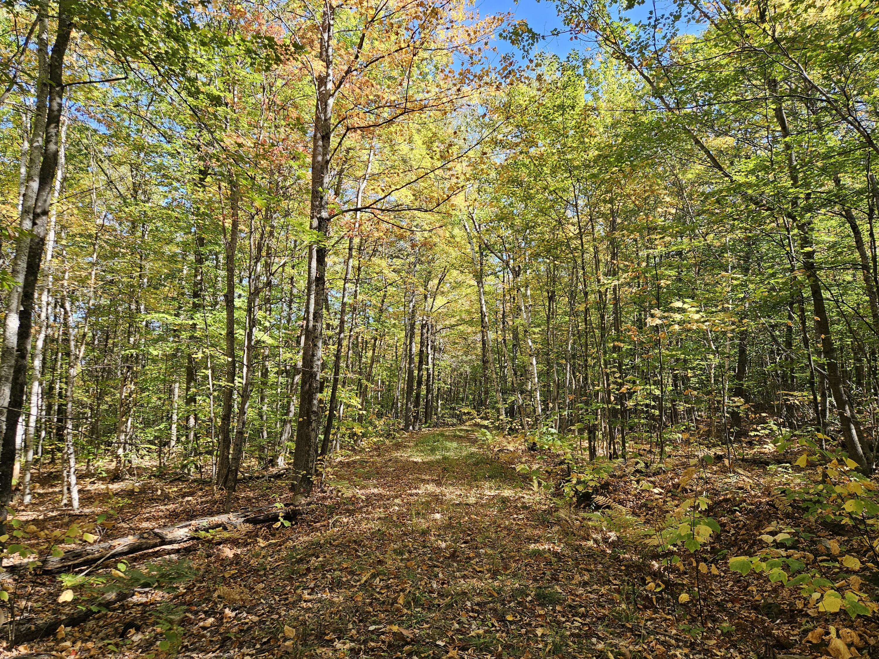 0 Canton Mountain Road Canton, ME 04221 - Photo 54 of 79 The Canton Camp