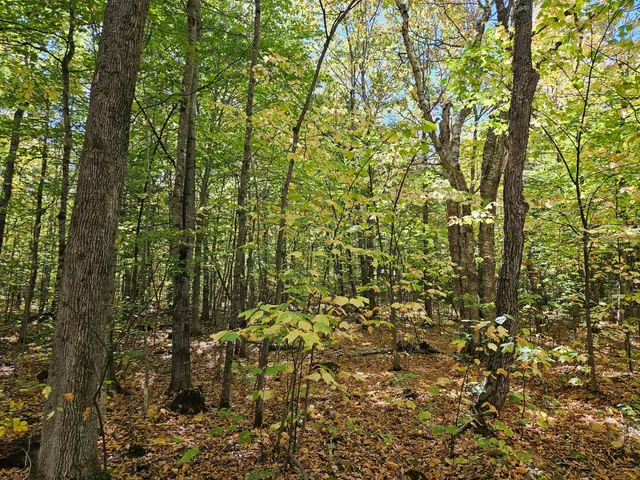 $339,000 | 0 Canton Mountain Road, Canton, ME 04221