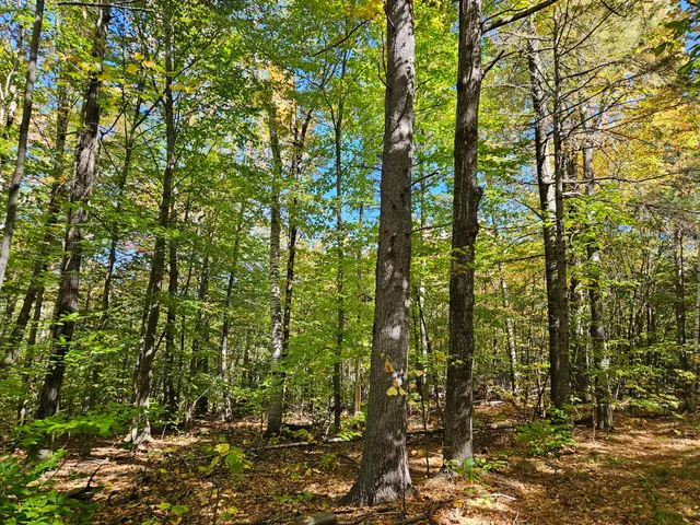 $339,000 | 0 Canton Mountain Road, Canton, ME 04221