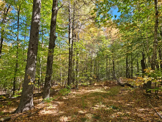 $339,000 | 0 Canton Mountain Road, Canton, ME 04221