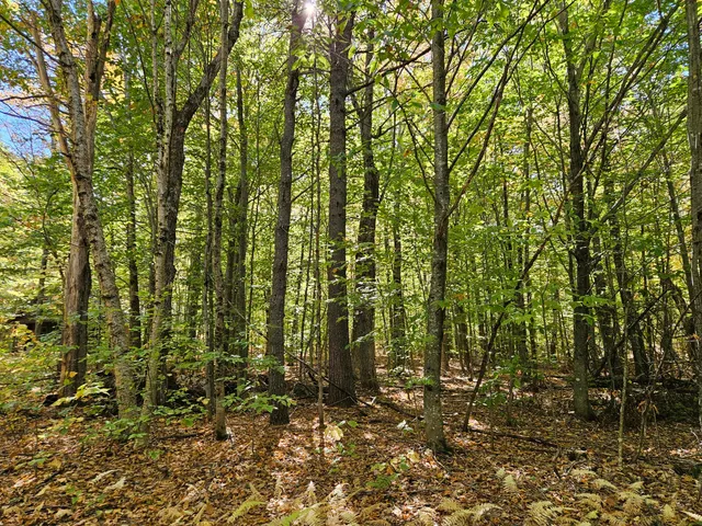 $339,000 | 0 Canton Mountain Road, Canton, ME 04221