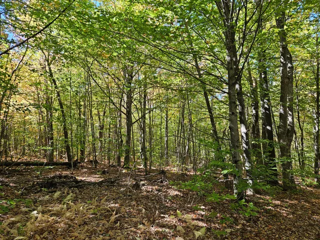 $339,000 | 0 Canton Mountain Road, Canton, ME 04221