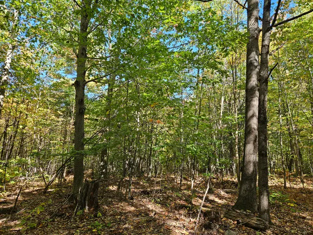 $339,000 | 0 Canton Mountain Road, Canton, ME 04221