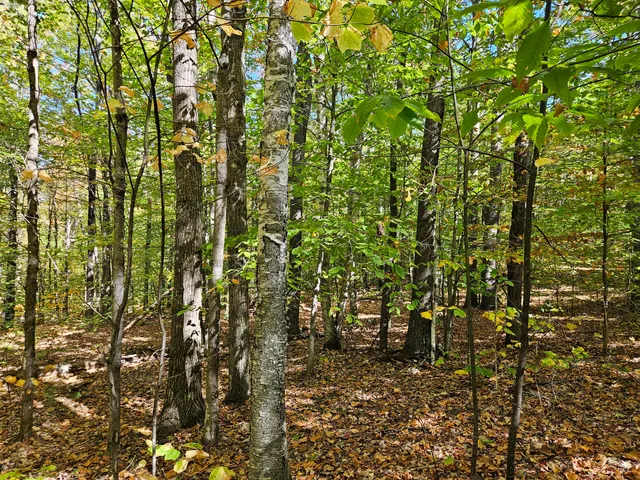 $339,000 | 0 Canton Mountain Road, Canton, ME 04221