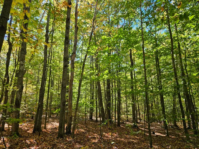 $339,000 | 0 Canton Mountain Road, Canton, ME 04221