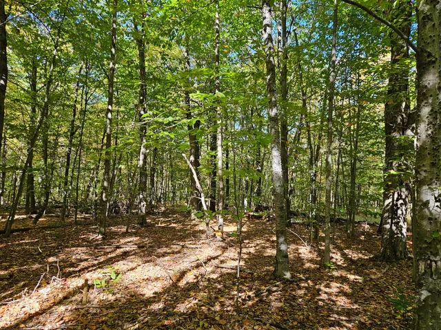 $339,000 | 0 Canton Mountain Road, Canton, ME 04221