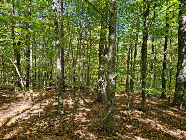 $339,000 | 0 Canton Mountain Road, Canton, ME 04221