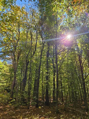 $339,000 | 0 Canton Mountain Road, Canton, ME 04221