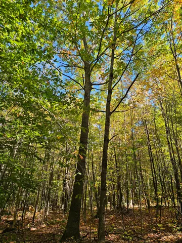 $339,000 | 0 Canton Mountain Road, Canton, ME 04221