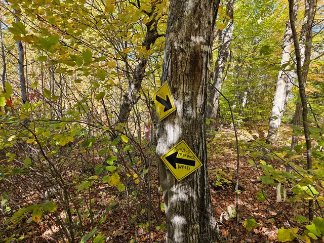 $339,000 | 0 Canton Mountain Road, Canton, ME 04221