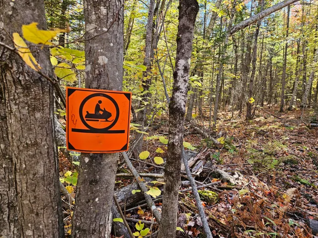 $339,000 | 0 Canton Mountain Road, Canton, ME 04221