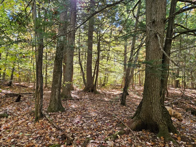 $339,000 | 0 Canton Mountain Road, Canton, ME 04221