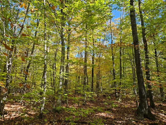 $339,000 | 0 Canton Mountain Road, Canton, ME 04221