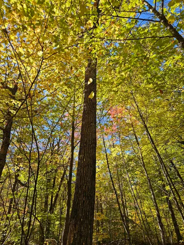 $339,000 | 0 Canton Mountain Road, Canton, ME 04221