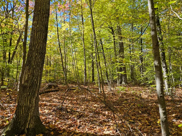 $339,000 | 0 Canton Mountain Road, Canton, ME 04221