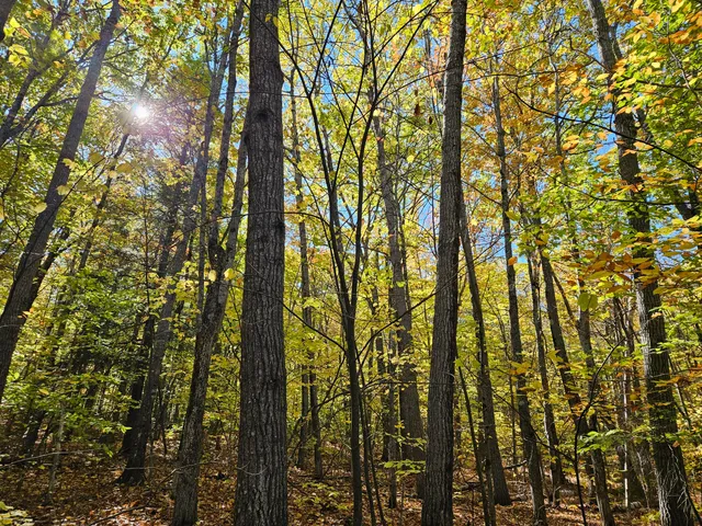 $339,000 | 0 Canton Mountain Road, Canton, ME 04221