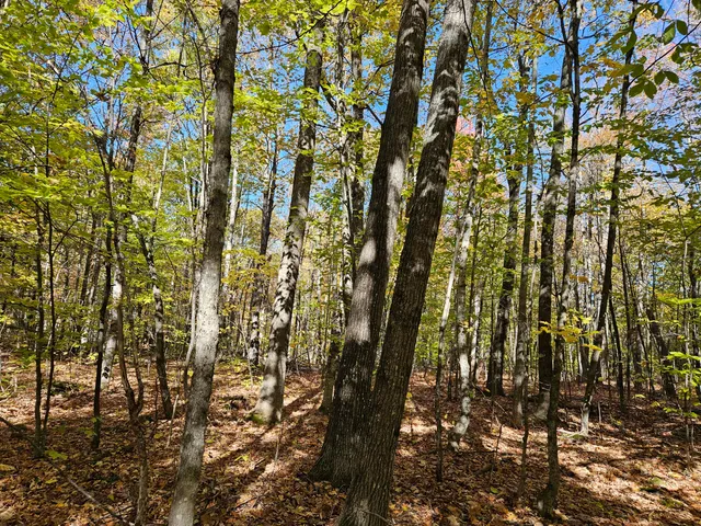 $339,000 | 0 Canton Mountain Road, Canton, ME 04221