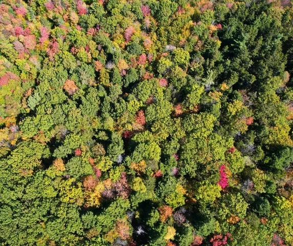 $339,000 | 0 Canton Mountain Road, Canton, ME 04221