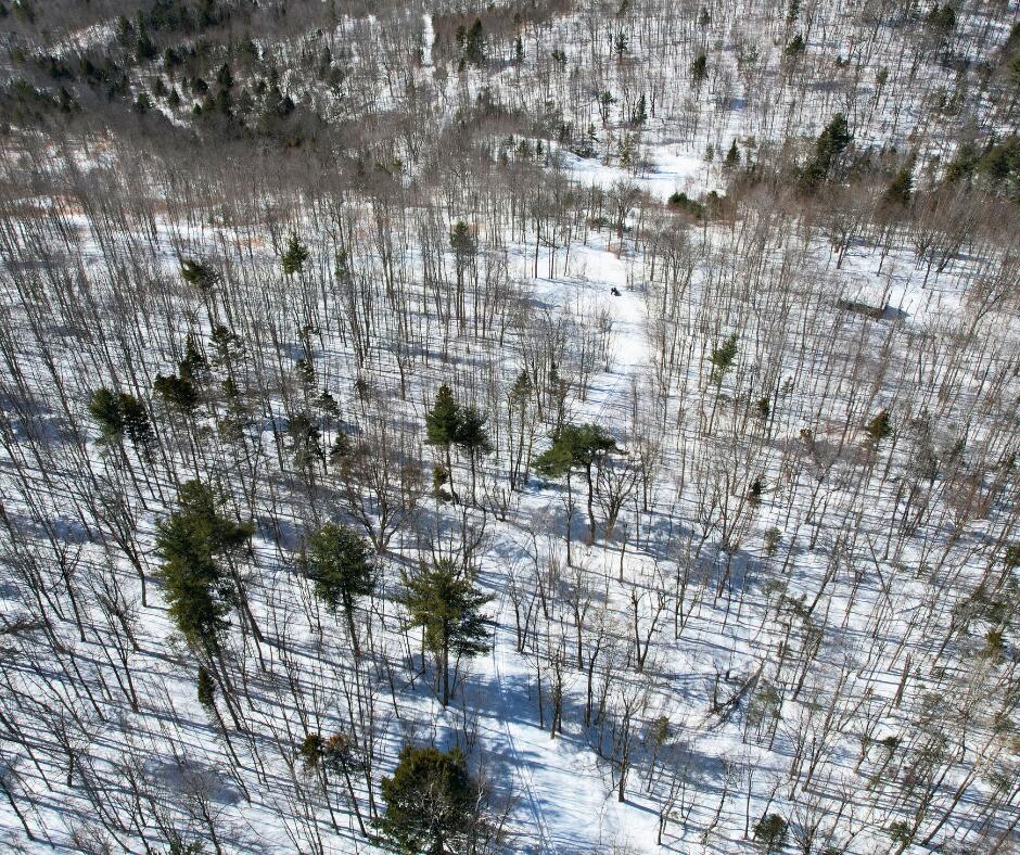 0 Canton Mountain Road Canton, ME 04221 - Photo 8 of 93 The Canton Camp