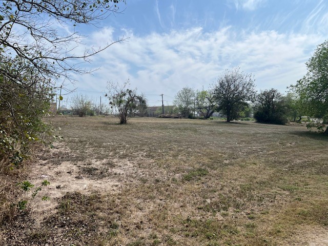 a view of a field with trees in background
