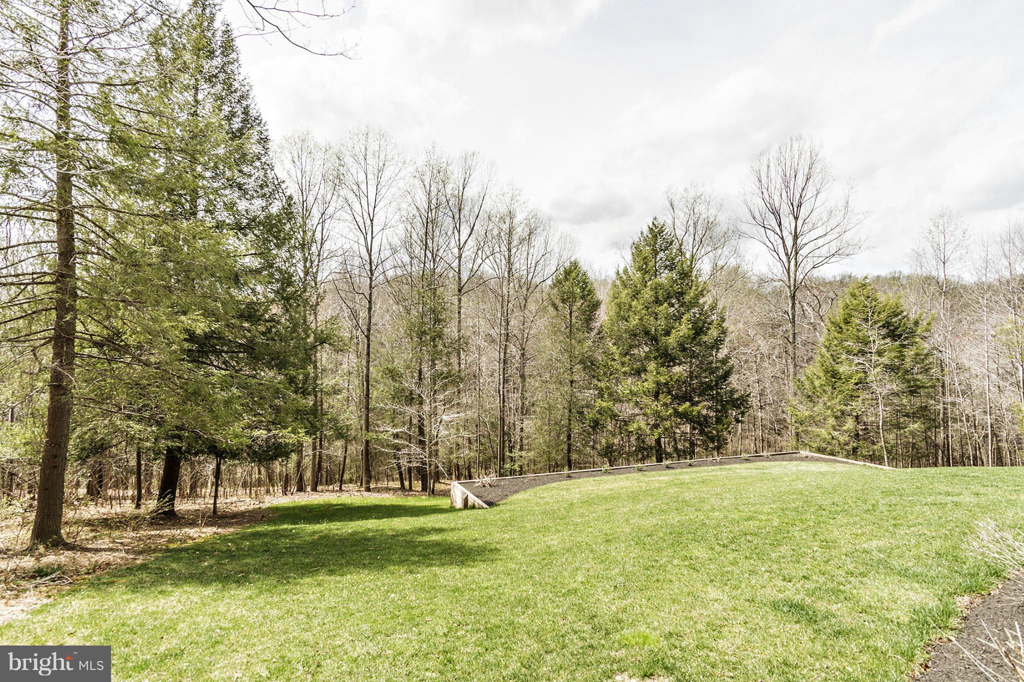 13001 Wainwright Road Highland, MD 20777 - Photo 28 of 30 a backyard of a house with lots of green space