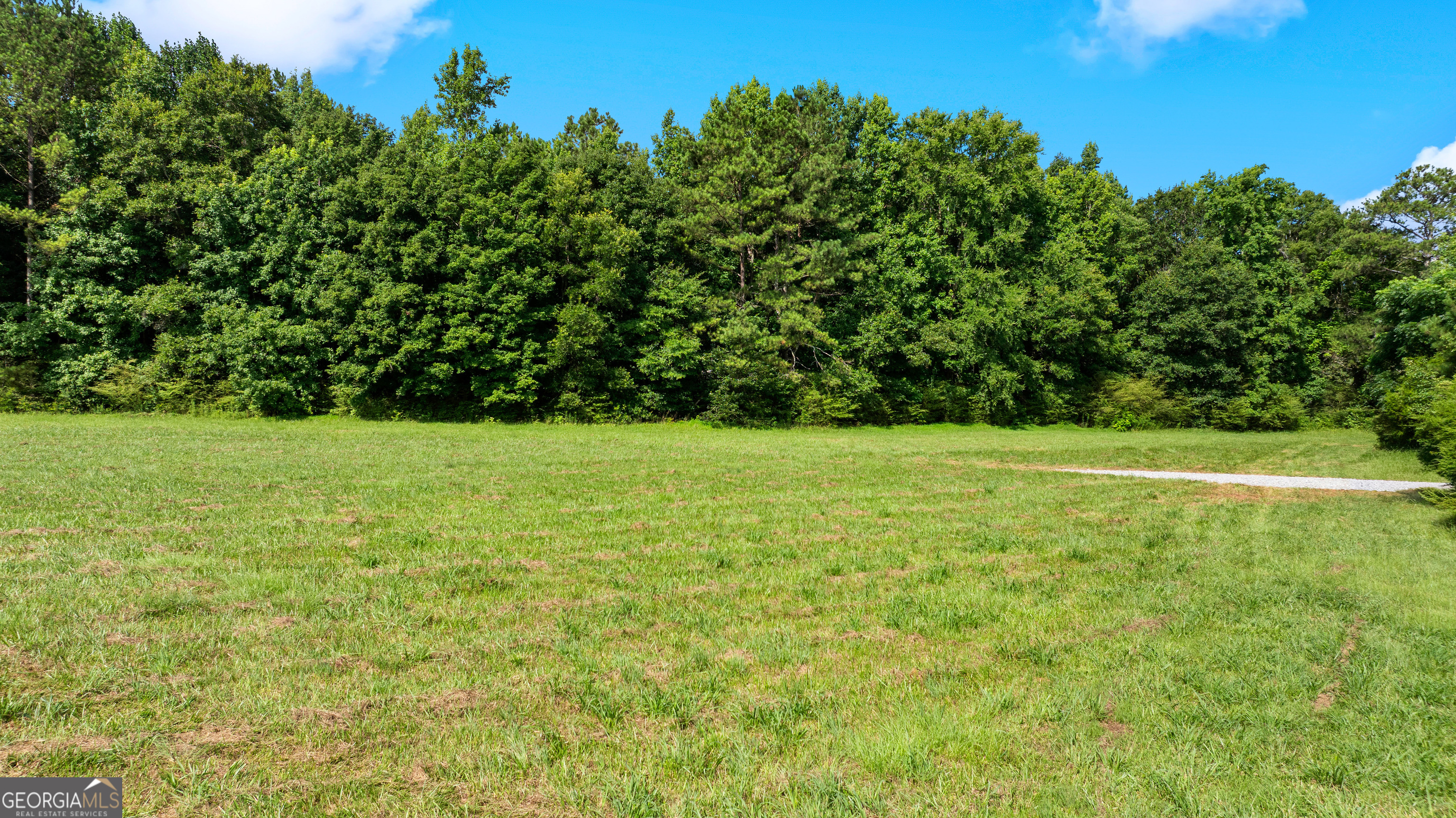 0 Willowood Road LaGrange, GA 30241 - Photo 6 of 27