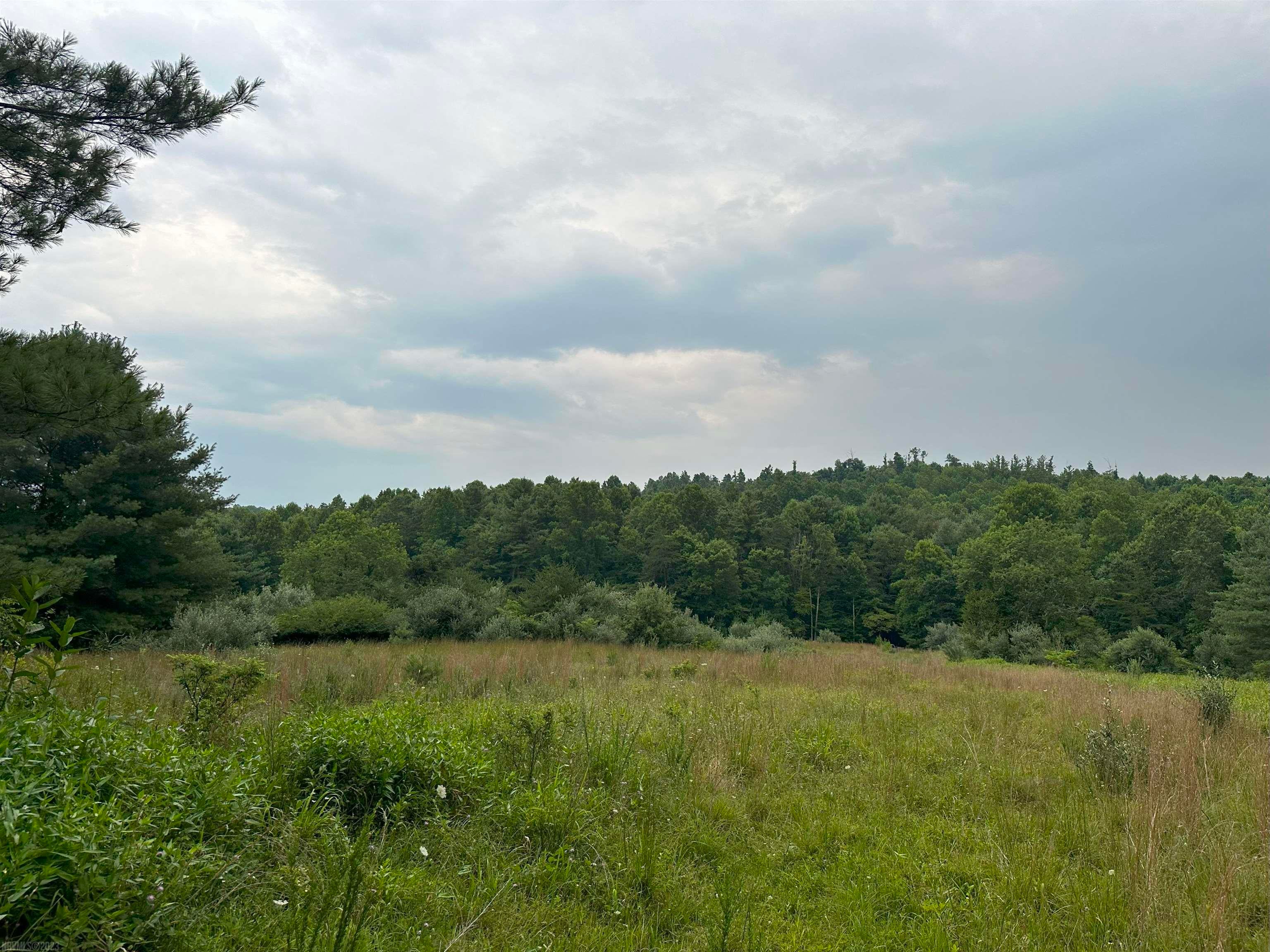 Tbd Claytor Road Northeast Pilot, VA 24138 - Photo 1 of 16 Gallery Image 1