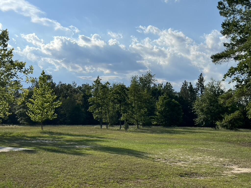 672 Redds Branch Road Aiken, SC 29801 - Photo 34 of 52