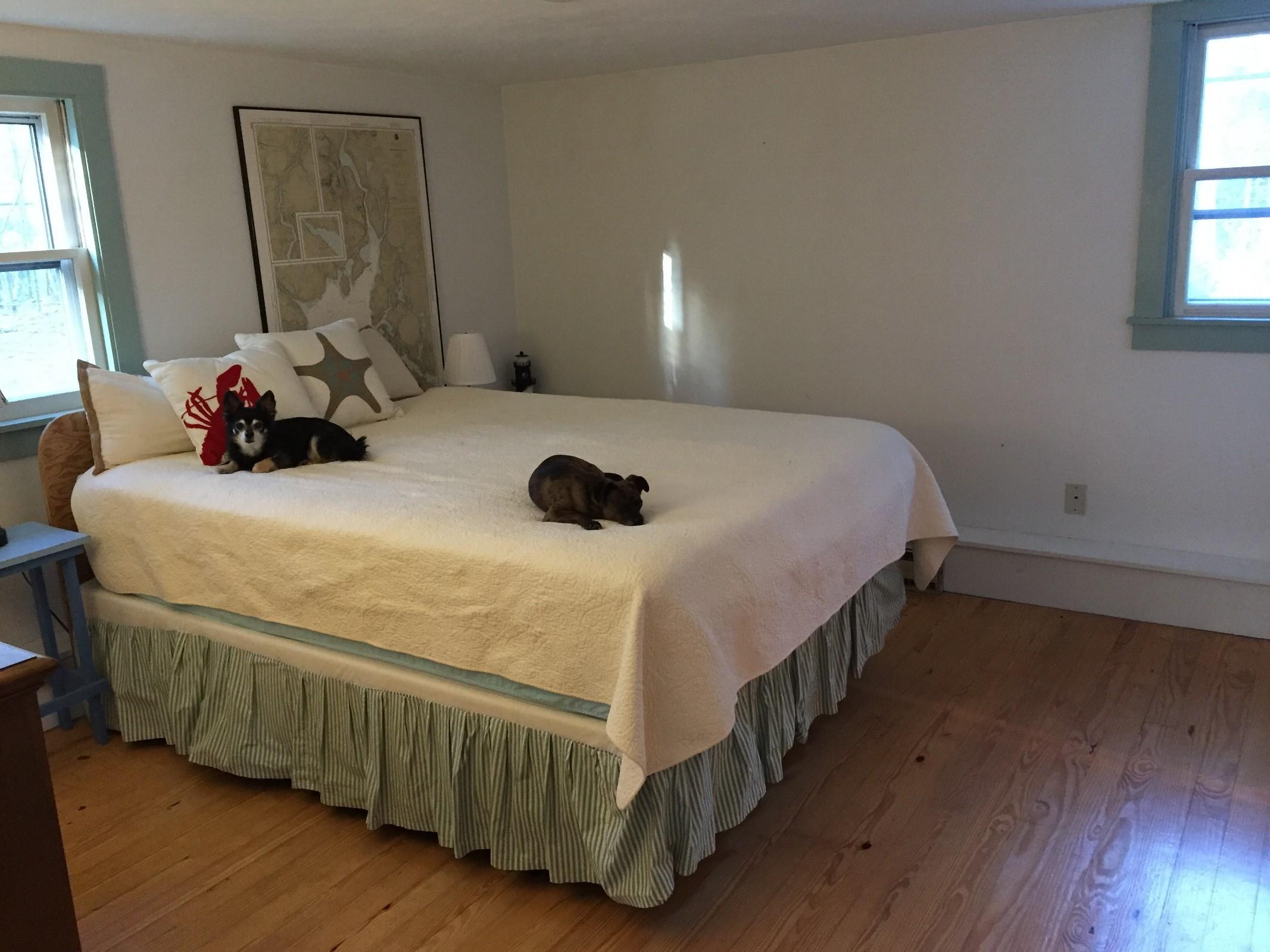 310 Cape Rosier Road Harborside, ME 04642 - Photo 12 of 30 Hlavaty_9504_P12_107926
