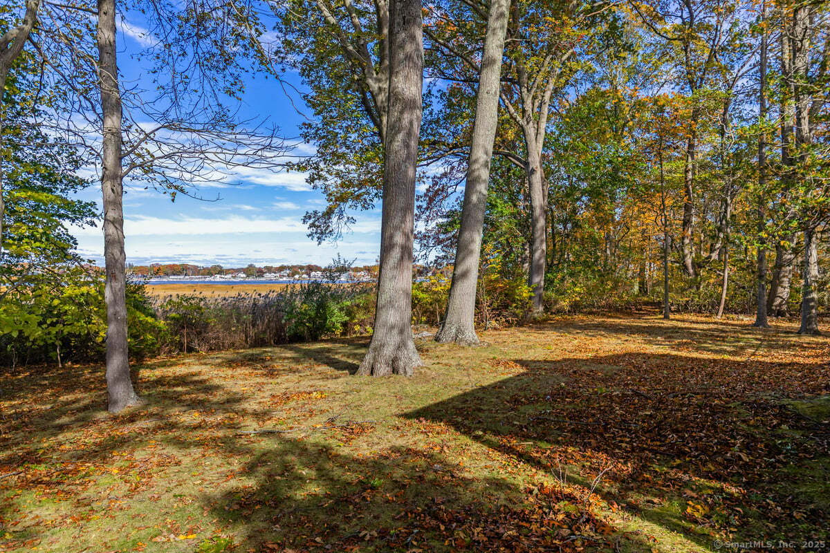 31 Pawson Road Branford, CT 06405 - Photo 3 of 13 a view of a yard with plants and trees