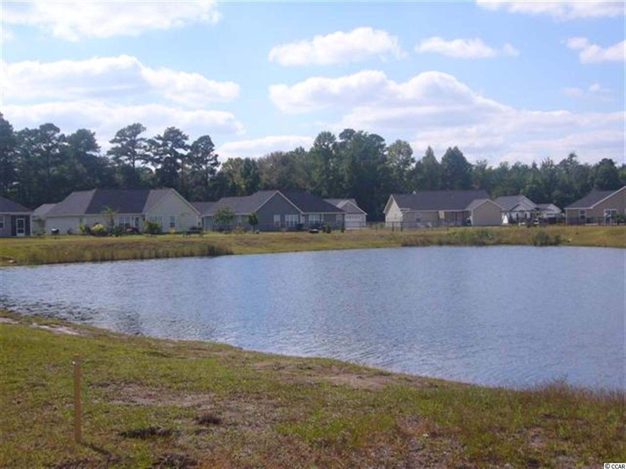 201 Georgia Mae Loop Conway, SC 29527 - Photo 10 of 11 Gallery Image 10