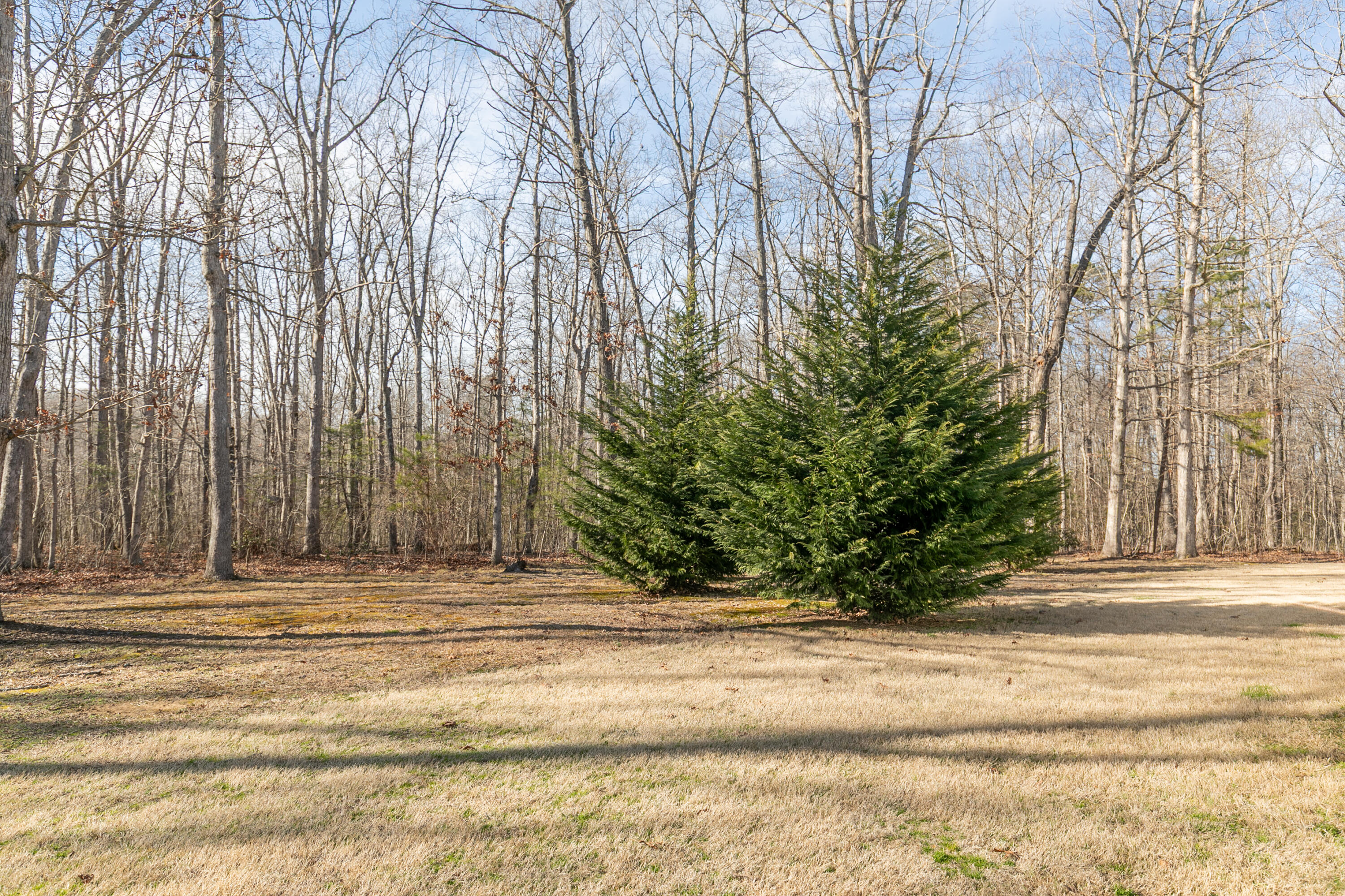 257 Wild Acres Lane Rising Fawn, GA 30738 - Photo 26 of 33 Wild Acres-26
